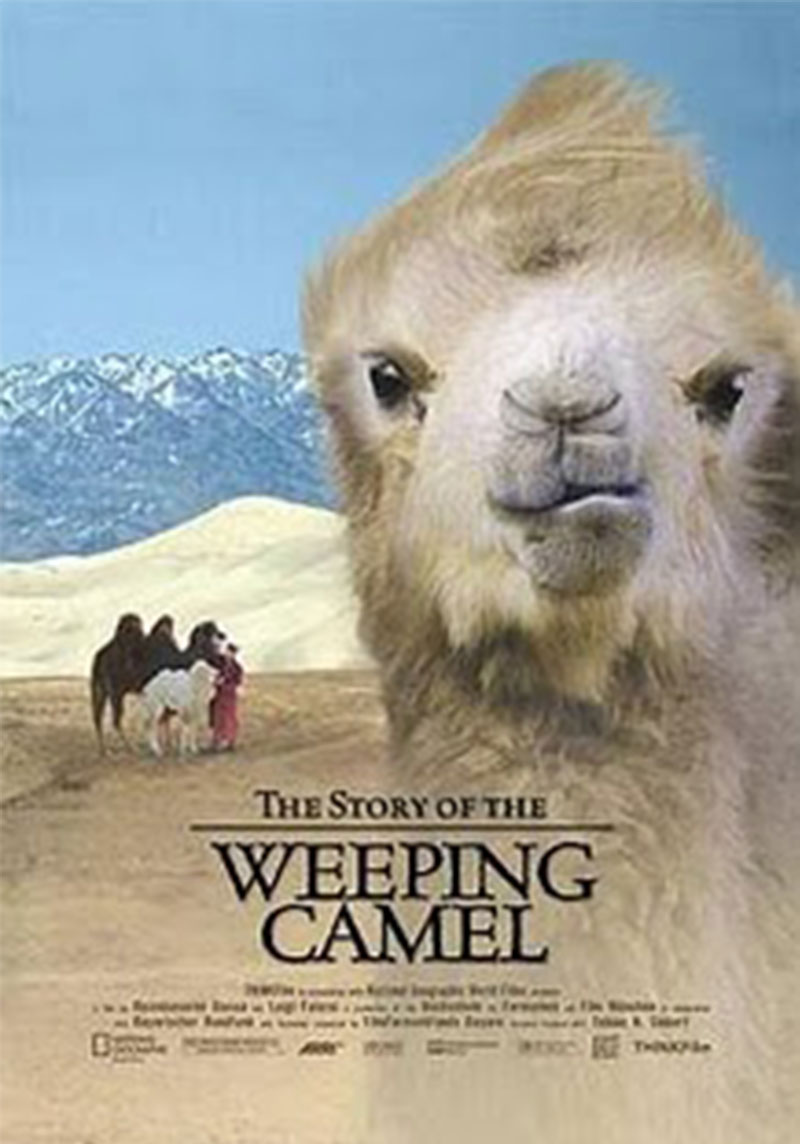 mongolian movies weeping camels 